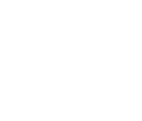 Steam